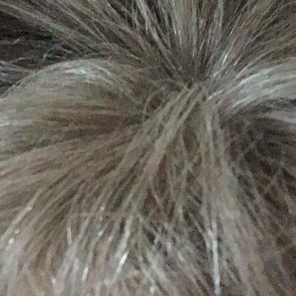 Meet your Posher, Audrey - Picture 1 of 1